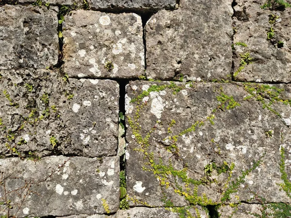 Background  limestone blocks of defensive wall of Nakagusuku castle, Okinawa, Japan. Represents Japanese masonry type called kirikomihagi