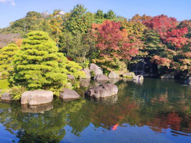 Himeji, Japonya - 16 Kasım 2019: Sonbahar renklerinde Himeji kalesi yakınlarındaki Koko-en bahçesi. 1992 'de eski samuray konutunda inşa edildi, şimdi Himeji şehrinin popüler bir eğlencesi.