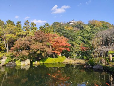 Himeji, Japonya - 16 Kasım 2019: Sonbahar renklerinde Himeji kalesi yakınlarındaki Koko-en bahçesi. 1992 'de eski samuray konutunda inşa edildi, şimdi Himeji şehrinin popüler bir eğlencesi.