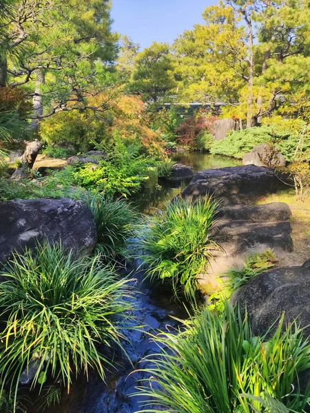 Хімеджі Японія Листопада 2019 Сад Коко Біля Замку Хімеджі Осінніми — стокове фото