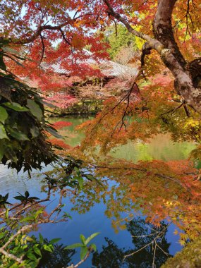Kyoto, Japonya - 17 Kasım 2019: Sonbahar renklerinde Daigo-ji tapınağının Benten-ike göleti. Unesco Dünya Mirası Alanı, özellikle sonbaharda popüler bir turizm merkezi. 
