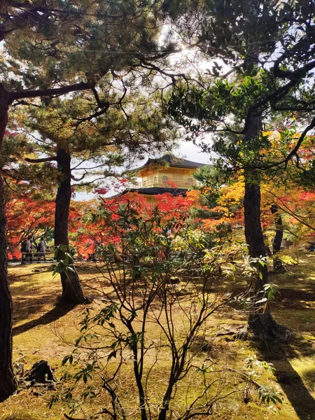 Kjóto Japonsko Listopadu 2019 Zlatý Pavilon Kinkaku Jiné Jméno Rokuon — Stock fotografie