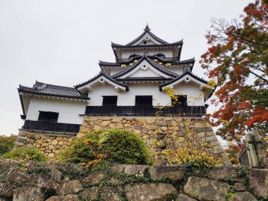 Hikone, Japonya - 18 Kasım 2019: Hikone şatosunun ana kalesi (donjon), Japonya 'daki sadece 12 kaleden biridir. Xvii klanı tarafından Xvii c. 'de inşa edildi, şimdi Japonya' nın ulusal bir hazinesi. 