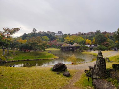 Hikone, Japonya - 18 Kasım 2019: Sonbaharda arka planda Hikone kalesi ile Genkyu-en bahçesinin manzarası. Bahçe 1677 'de samuray diktatörü Ii Naooki tarafından misafirlerini ve ailesini rahatlatmak için inşa edildi.