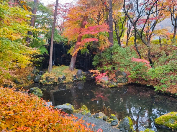 Fujikawaguchiko Japonsko Listopadu 2019 Zahrada Itchiku Kubota Art Museum Podzimních — Stock fotografie