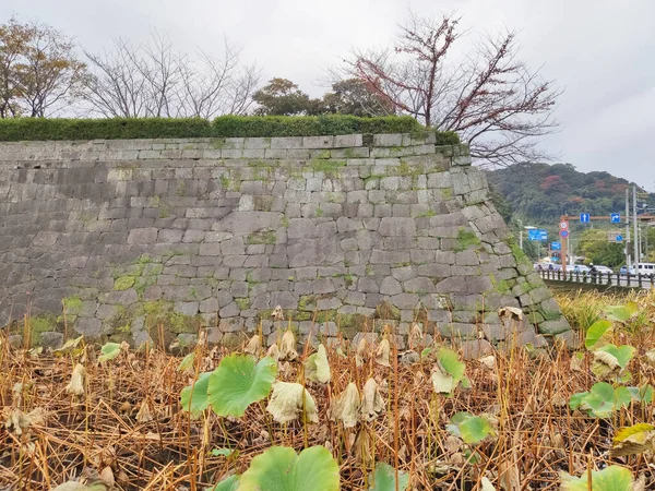 Kagoshima Japón Noviembre 2019 Murallas Piedra Ishigaki Del Castillo Kagoshima — Foto de Stock