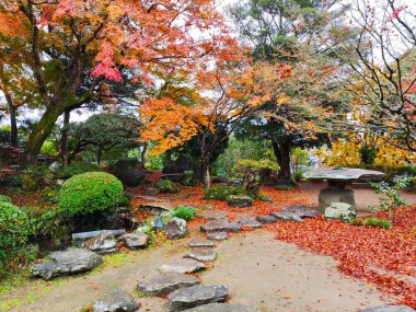 Kitsuki, Japonya - 28 Kasım 2019: Ohara-tei samuray konutunun geleneksel Japon bahçesi (1800 'de yeniden inşa edildi) sonbahar renklerinde. Edo döneminden beri Kitsuki 'de birçok samuray evi ayakta kaldı.