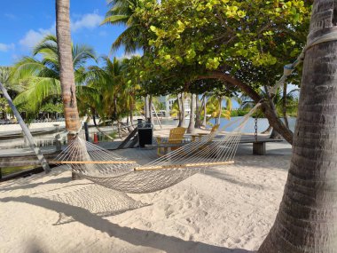 George Town, Cayman Adaları - 1 Şubat 2020: Camana Körfezi 'ndeki hamak. Camana Körfezi, Büyük Cayman Adası 'ndaki George Town' da bir iş, alışveriş ve eğlence kompleksi.