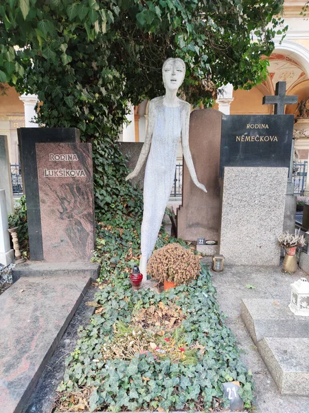 Prag Çek Cumhuriyeti Mart 2020 Prag Vysehrad Mezarlığındaki Vlastimil Fisar — Stok fotoğraf