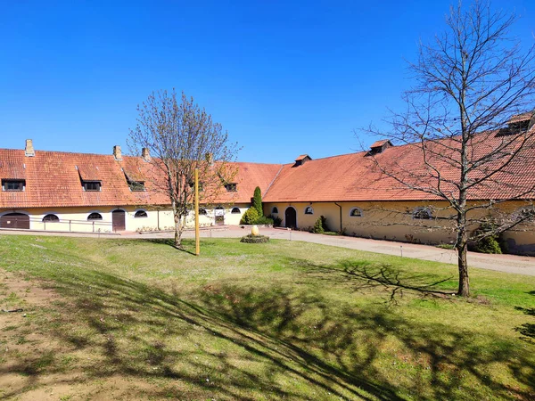 Milzkalne Letland April 2020 Kasteel Slokenbeka Ordensburg Schlockenbeck Circa Voormalig — Stockfoto