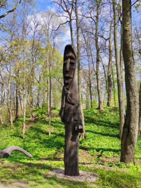 Lielvarde, Letonya - 9 Mayıs 2020: Lielvarde Park 'ta (ulusal öneme sahip) tahta sütun heykelleri. Şair Andrejs Pumpurs 'un epik Lacplesis filminden karakterler