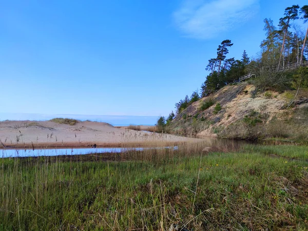 Saulkrasti Lettland Mai 2020 Berühmte Weiße Düne Balta Kapa Der — Stockfoto