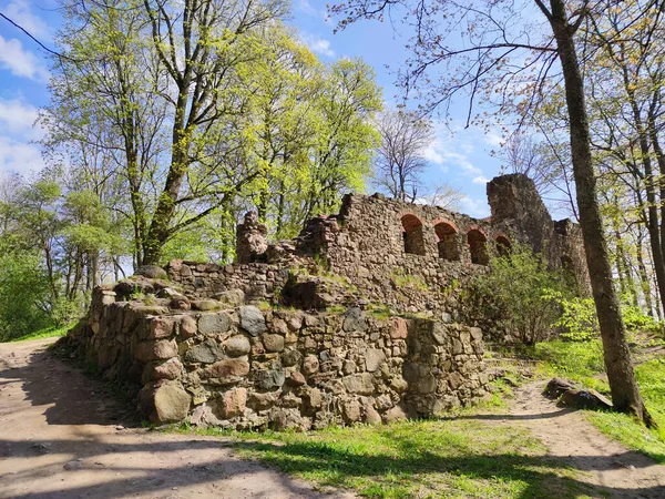 ラトビアのリエルヴァルデ 2020年5月9日 リエルヴァルデ町の中世のレンニューガーデン城の遺跡は かつてリガの大司教に属していました 元久2年 1205年 リヴォニア騎士団により17C — ストック写真