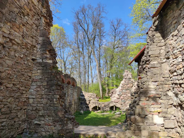Lielvarde Letonia Mayo 2020 Las Ruinas Del Castillo Medieval Lennewarden —  Fotos de Stock
