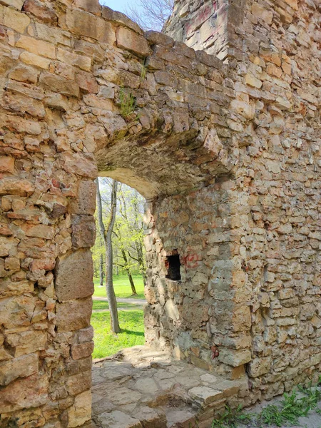 Lielvarde Letonya Mayıs 2020 Lielvarde Kasabasındaki Ortaçağ Lennewarden Şatosunun Kalıntıları — Stok fotoğraf