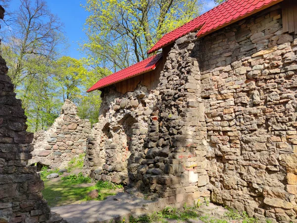 Lielvarde Latvia May 2020 Ruins Medieval Lennewarden Castle Lielvarde Town — Stock Photo, Image