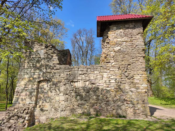 Lielvarde Latvia May 2020 Ruins Medieval Lennewarden Castle Lielvarde Town — Stock Photo, Image