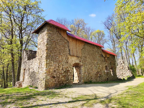 Lielvarde Λετονία Μαΐου 2020 Ερείπια Του Μεσαιωνικού Κάστρου Lennewarden Στην — Φωτογραφία Αρχείου