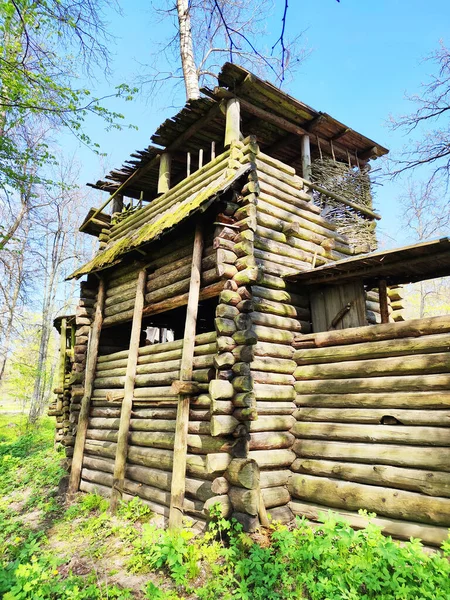 Lielvarde Lotyšsko Května 2020 Rekonstruovaný Dřevěný Hrad Století Starověkých Lotyšských — Stock fotografie