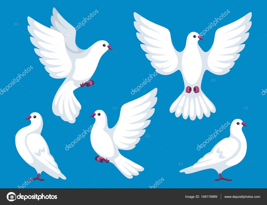 Imagenes De Palomas Blancas Hermosas | conjunto de cinco palomas blancas s 237 mbolo de fe y de amor Imagenes De Palomas Blancas Hermosas | conjunto de cinco palomas blancas s 237 mbolo de fe y de amor