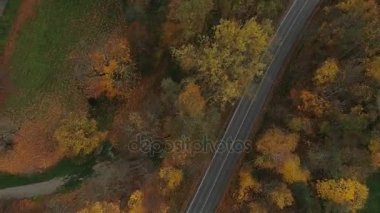 Sugulda doğa sonbahar araba sürücü zekâ dron