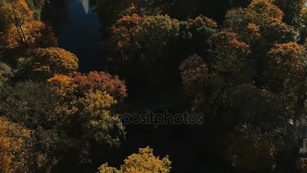 Ciudad de Riga vuelo drone otoño — Vídeo de stock