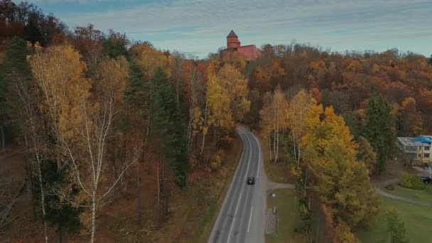 Sugulda natur hösten bil bilresa wit drone — Stockvideo
