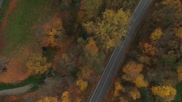 Sugulda doğa sonbahar araba sürücü zekâ dron — Stok video
