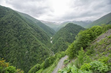 Çim alan gündüz manzara doğa tarım dağlar