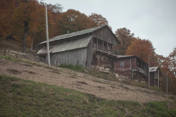 Casas de madera antiguas en una montaña, pueblo georgiano, gente pobre —  Fotos de Stock