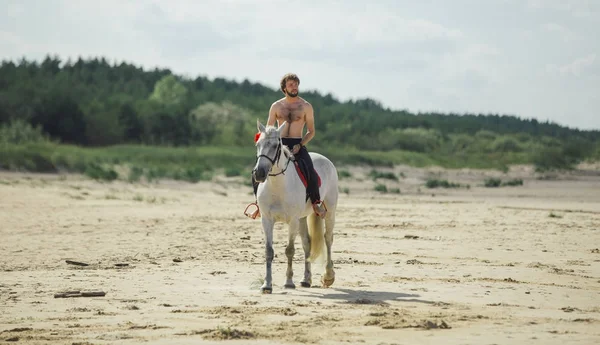 Homem beijado no cavalo branco na praia — Fotografia de Stock