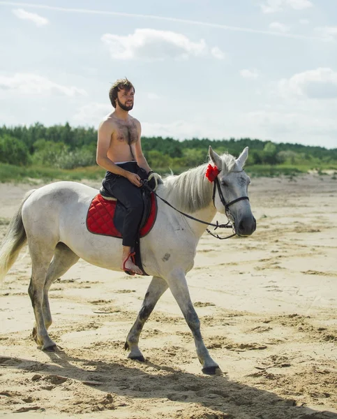 Homem beijado no cavalo branco na praia — Fotografia de Stock