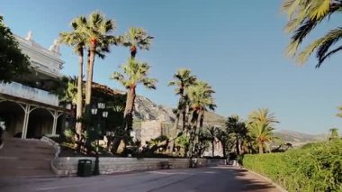 Monaco şehir şehir Monte Carlo Caddesi palmiye güneşli bir gün