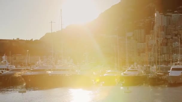 Monaco şehir şehir Monte Carlo Caddesi palmiye güneşli bir gün — Stok video