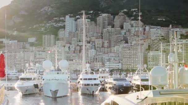 Ciudad de Mónaco Monte Carlo calle palmera día soleado — Vídeo de stock