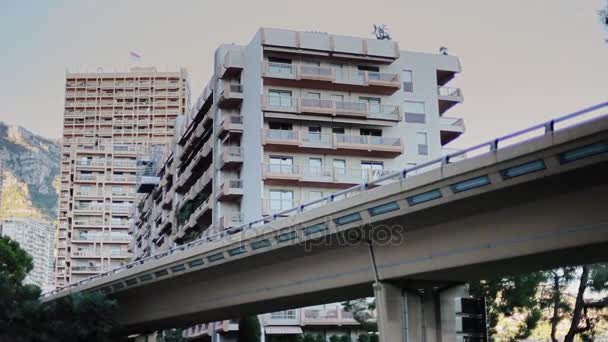 Monaco stad Monte Carlo straat palm zonnige dag — Stockvideo