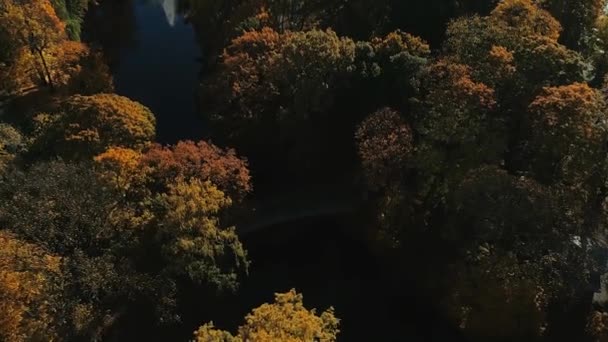Drzewo jesień żółty miasta Ryga miasto lotu drona — Wideo stockowe