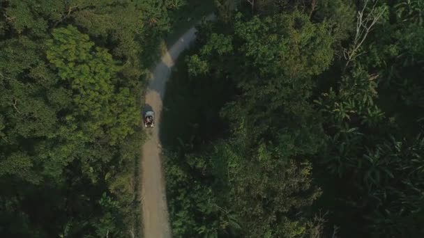Thajsko palm jungle cestovní auto suv dron letní přírody letu — Stock video