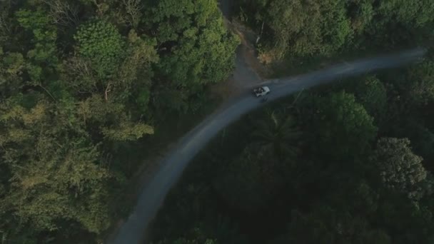 Tailândia palma selva viagem carro suv drone verão natureza voo — Vídeo de Stock