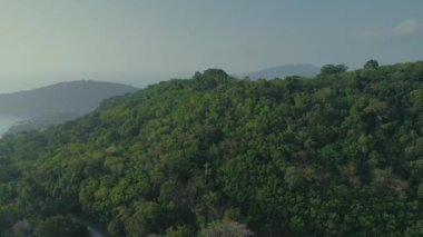 Uçuş, vahşi dağlar ağaç doğa ve palm tropikal Tayland ormanlarda robot