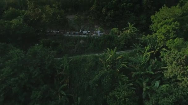 Thailand palm jungle reizen auto suv drone piloot zomer natuur vlucht — Stockvideo