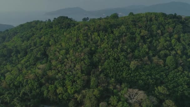 Полет дронов в тропических тайских джунглях, дикие горы — стоковое видео