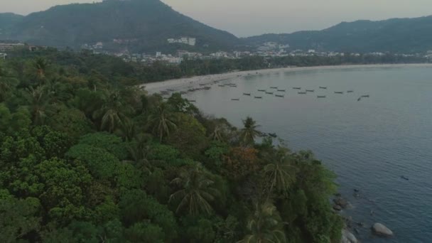 Tailandia mar isleña selva drone vuelo, salvaje montañas naturaleza árbol y palma — Vídeos de Stock