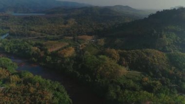 Tropikal Tay cheo lan uzun Milli Parkı ormanlarda günbatımı drone uçuş, vahşi dağlar ağaç doğa ve palm