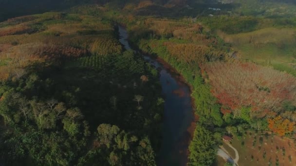 Tropischen thai cheo lan langen Nationalpark Dschungel Sonnenuntergang Drohnenflug, wilde Berge Naturbaum und Palme — Stockvideo