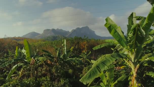 Selvas tropicales de Tailandia drone al atardecer vuelo, salvaje naturaleza árboles y palmeras cheo lan larga Parque de las montañas — Vídeos de Stock