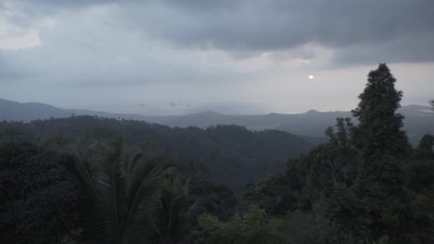 热带森林日落丛林, 自然, 热带, 树, 环境, 背景, 景观意蕴 — 图库视频影像