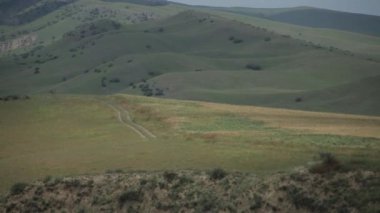 Kafkas Dağları beyaz güzellik doğa Gürcistan hayvanlar