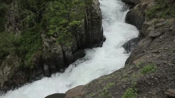 Caucasus mountains rivier Kaukasische schoonheid natuur Georgië dieren waterwall — Stockvideo