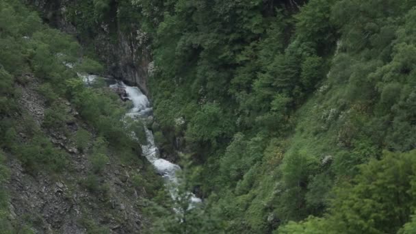 Kafkas Dağları nehir beyaz güzellik doğa Gürcistan hayvanlar waterwall — Stok video